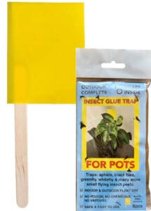 Insect Glue Trap For Pots (8 pack)
