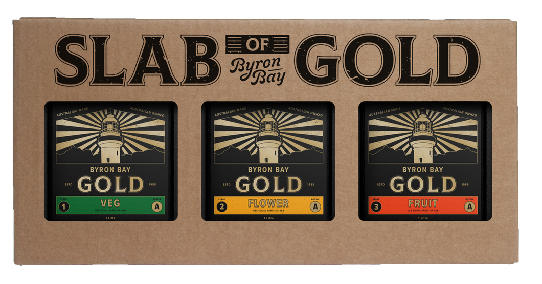 Byron Bay Gold Slab