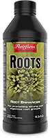 Roots 1L