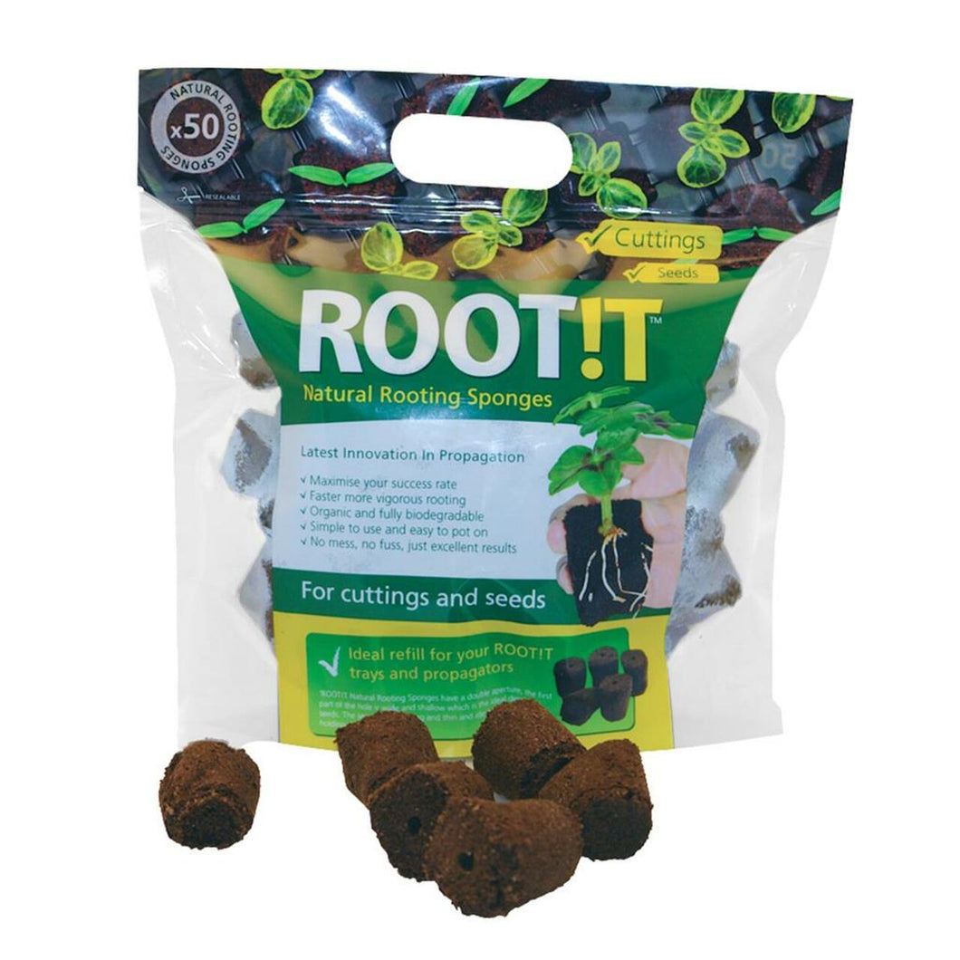 Root!t Natural Rooting Sponge (50 Pack)